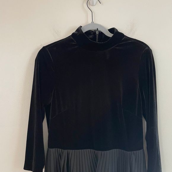 Adrianna Papell Velvet Top Fit and Flare Pleated
Chiffon Skirt Dress Size 8 - Picture 3 of 9